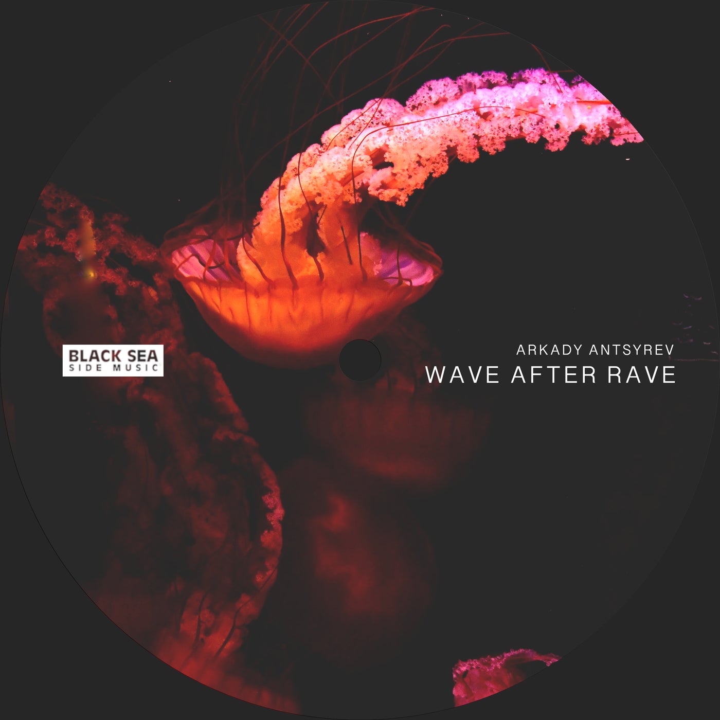 Arkady Antsyrev – Wave After Rave [BSSM0060]